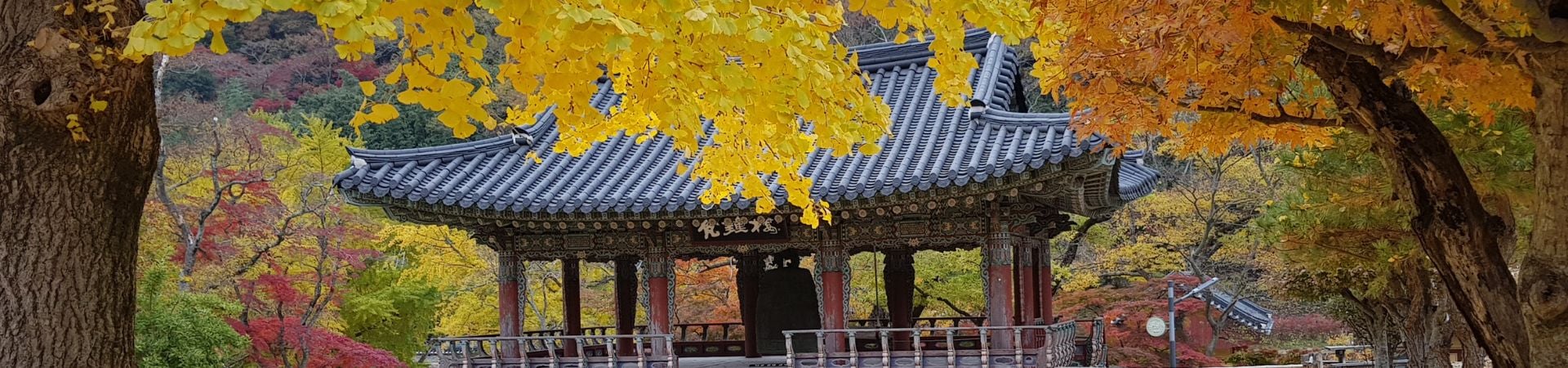 Image of Daeheungsa Templestay: Experiential Discovery