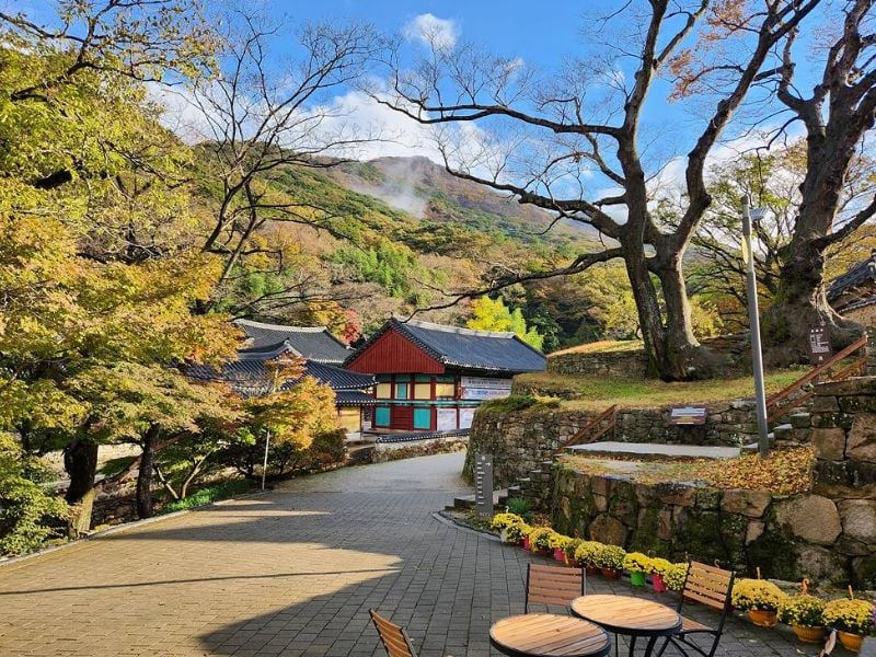 Daeheungsa Templestay: Relaxational Retreat