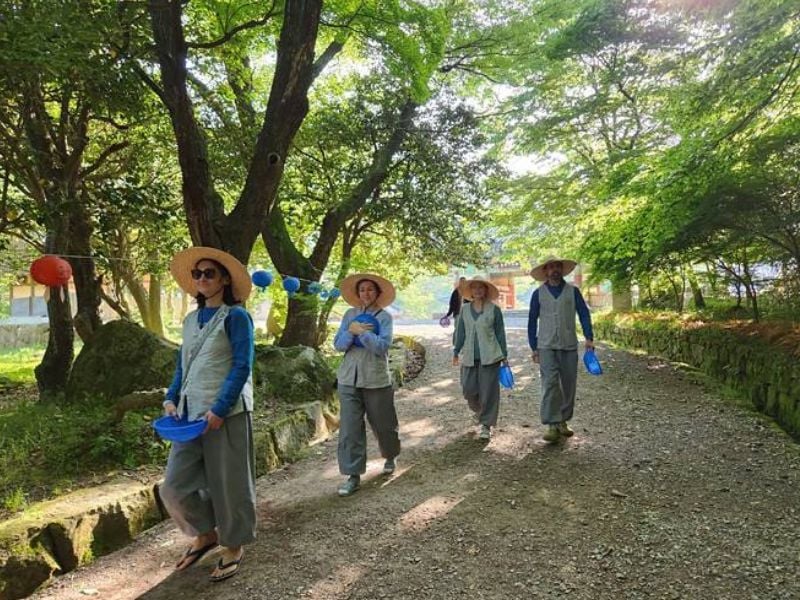 Daeheungsa Templestay: Relaxational Retreat