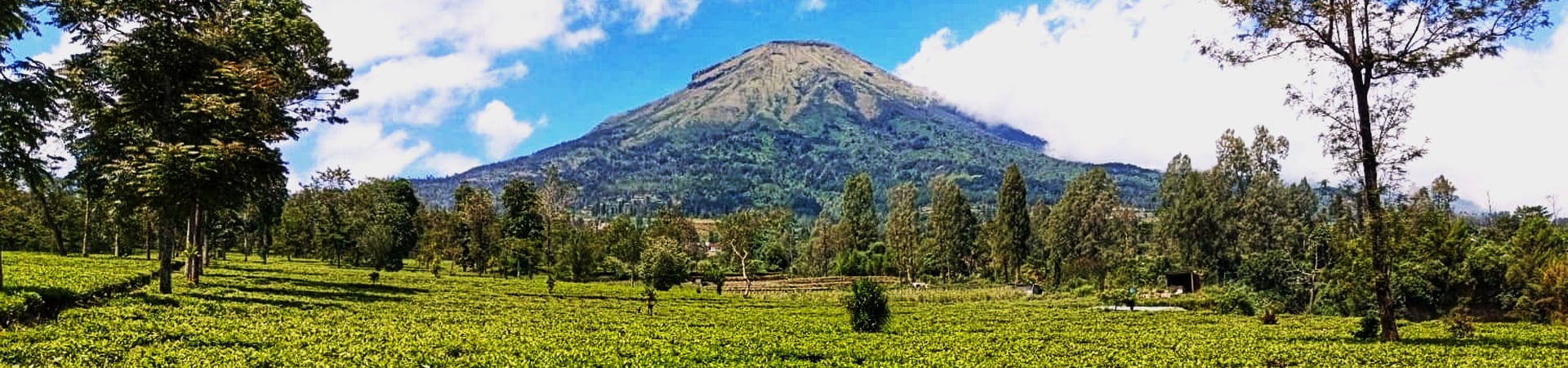 Highlights of Central Java