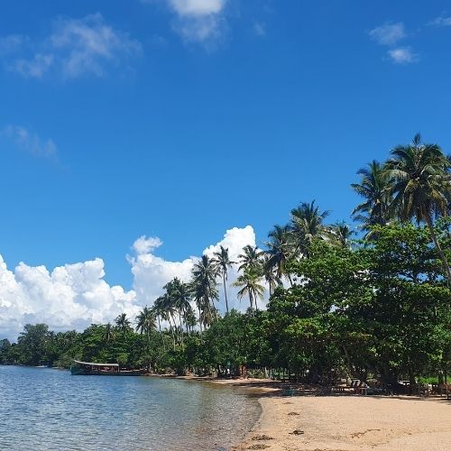 A Blend of the South