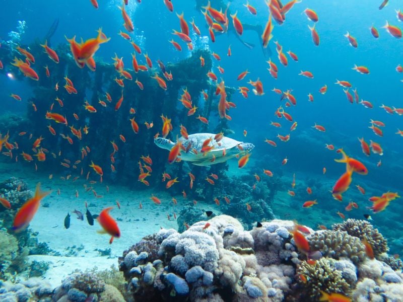 Hurghada Beach Escape
