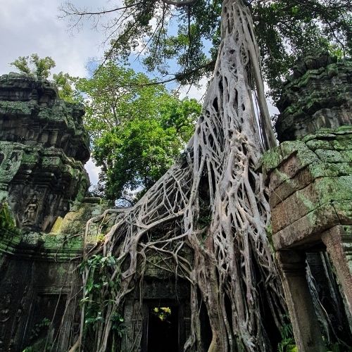 Angkor Family Holiday