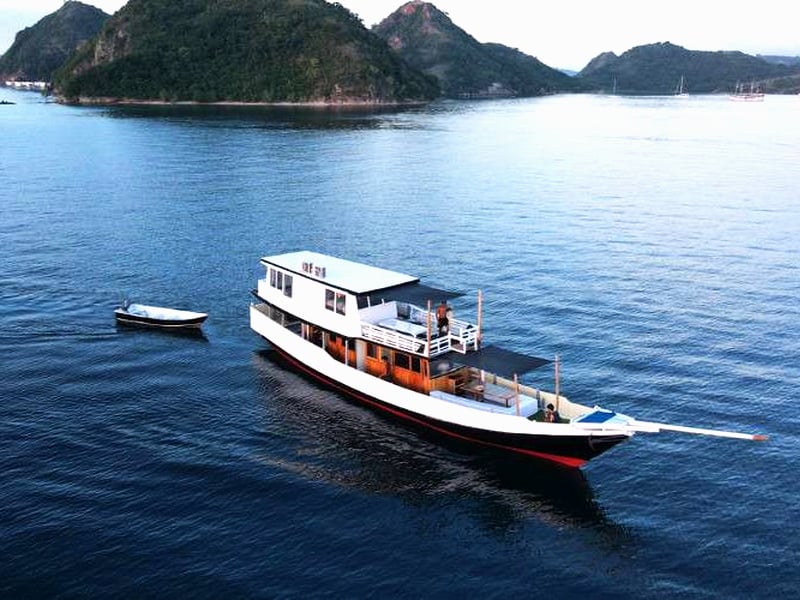 Komodo and Flores Bird Photography