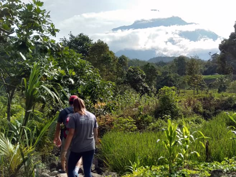 Dusun Trek And Homestay Soft Adventure