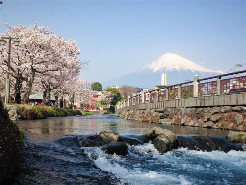 Mt. Fuji Countryside Retreat