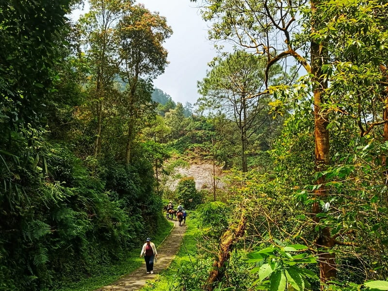 Grand Java Temples and Golden Hour