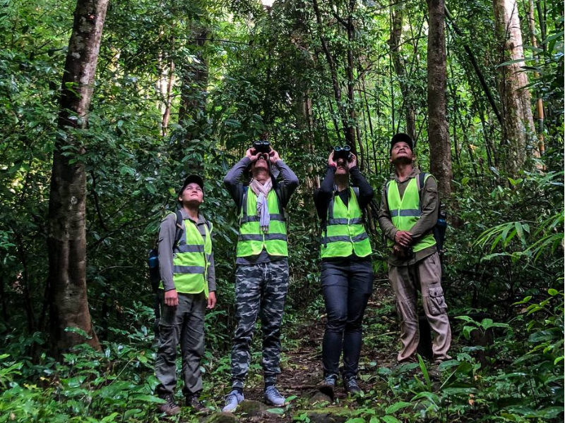 Rainforest Primate Adventure