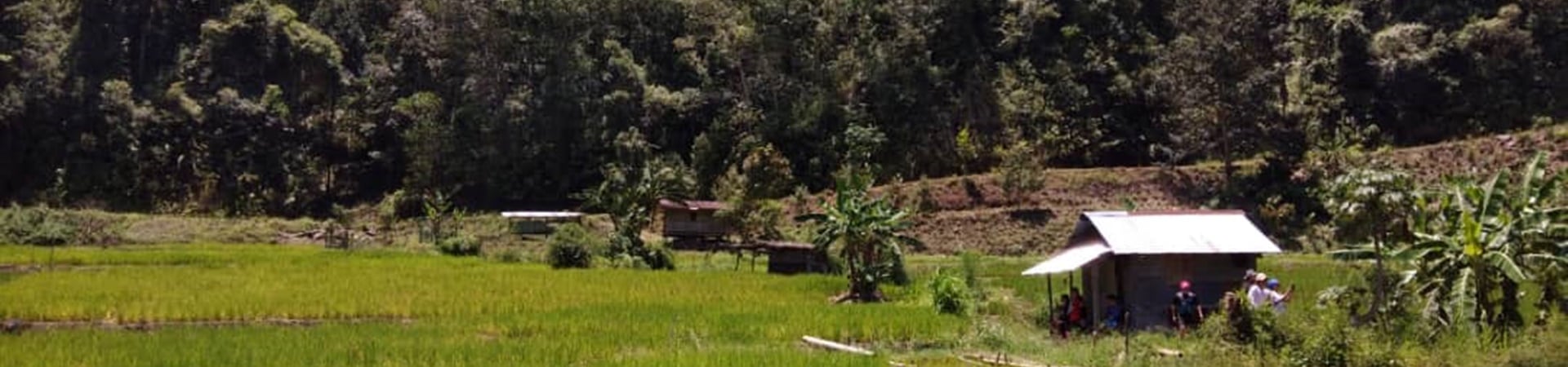 Image of Trek in the Land of the Dusun