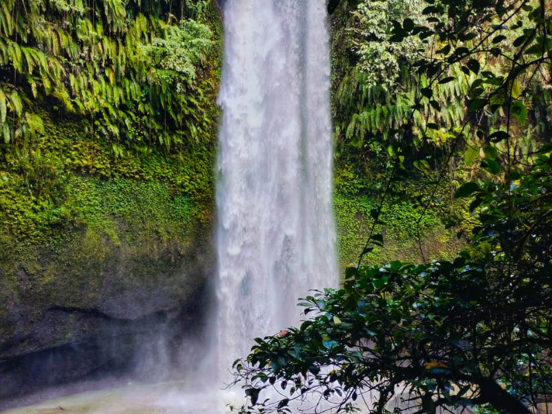 North Sulawesi Active