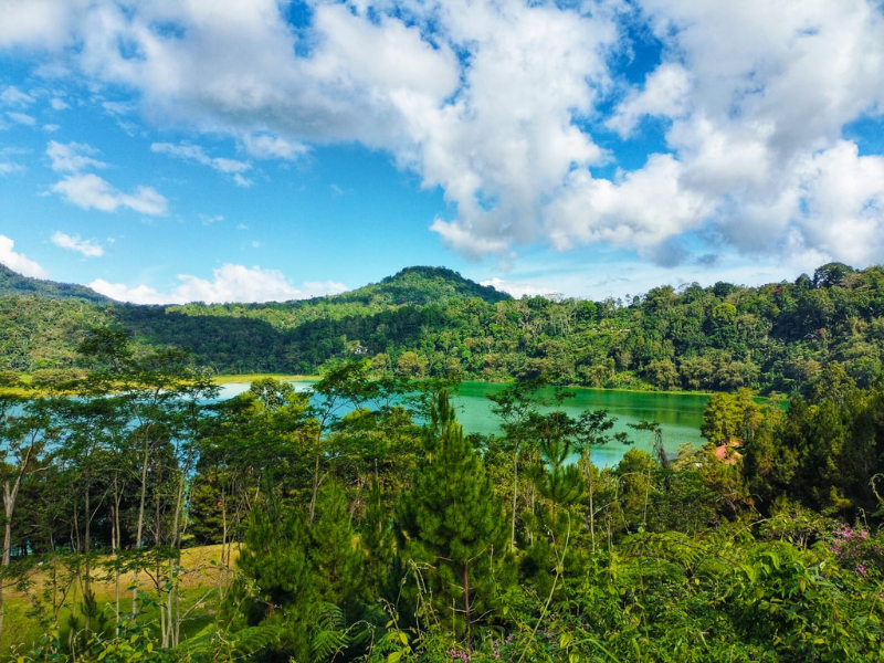 North Sulawesi Active