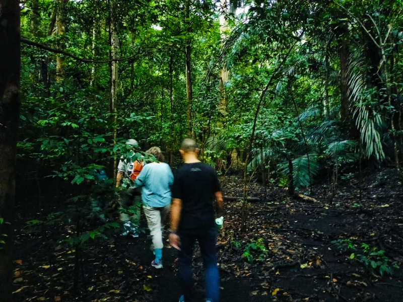 North Sulawesi Active