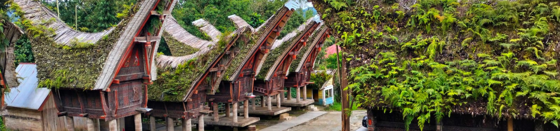 Image of South Sulawesi Detailed