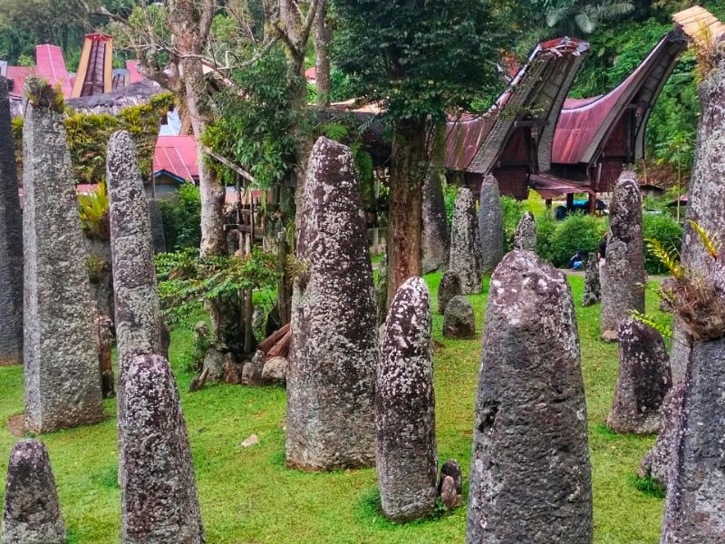 Toraja Discovery & South Sulawesi Beach