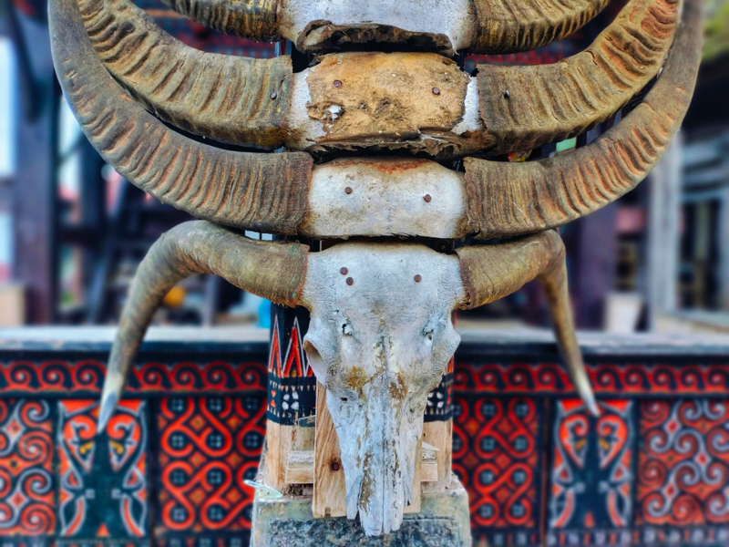 South Sulawesi Detailed