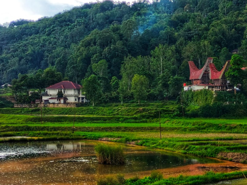 South Sulawesi Detailed