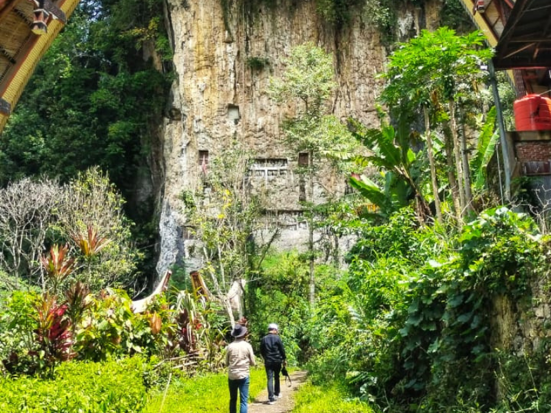 Toraja Discovery & South Sulawesi Beach