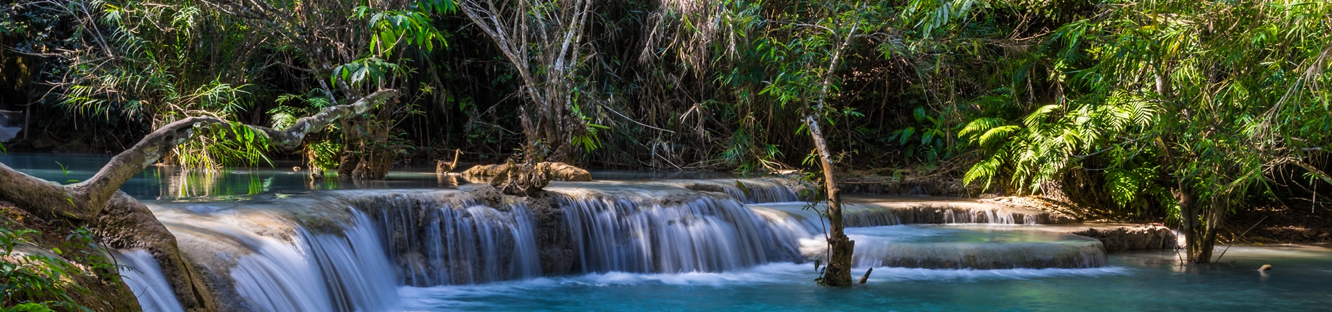 Rosewood Glamping & Soft Adventure