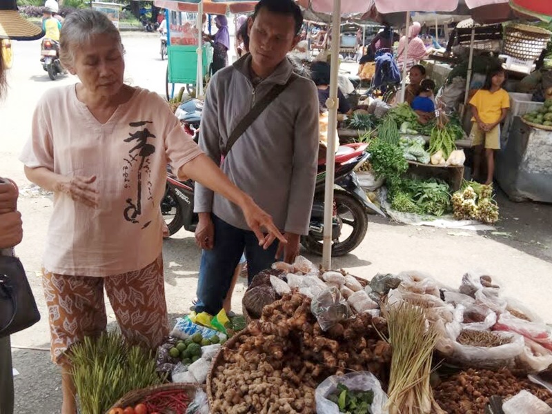 Experience at The Cicadas’ Residence