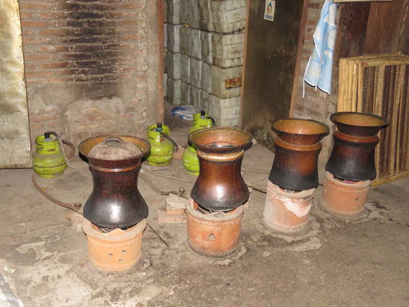 Experience at The Cicadas’ Residence