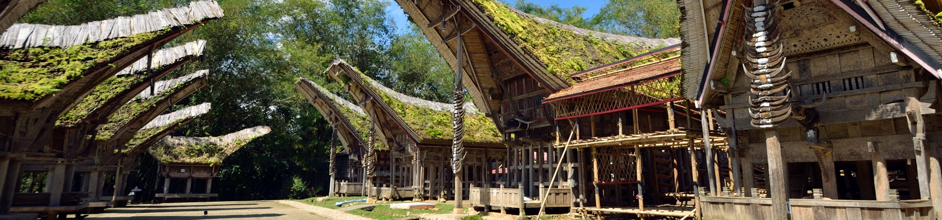 New Essential Sulawesi