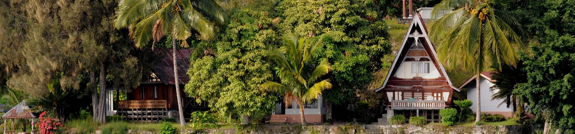 Image of The Wild Wonders of North Sumatra