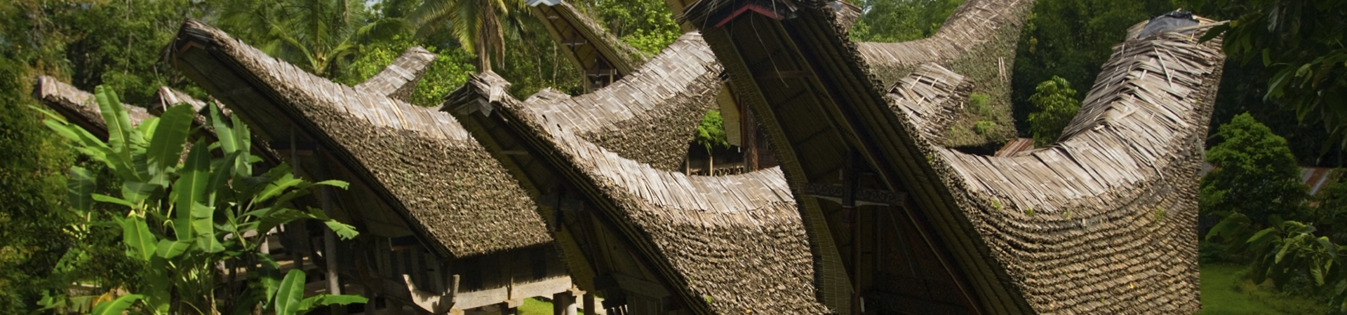 Toraja Discovery & South Sulawesi Beach