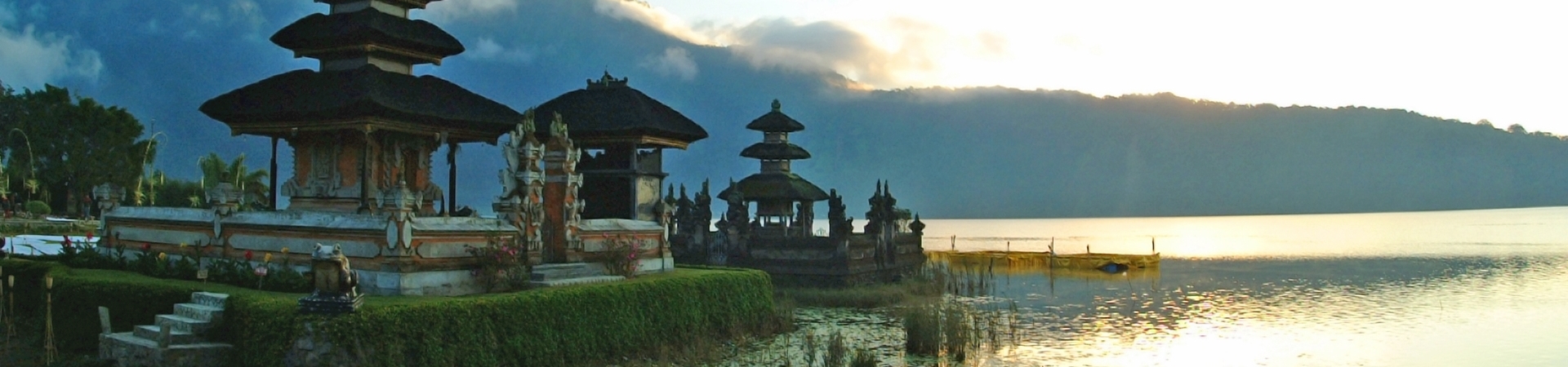 West Bali Nature and Buffaloes