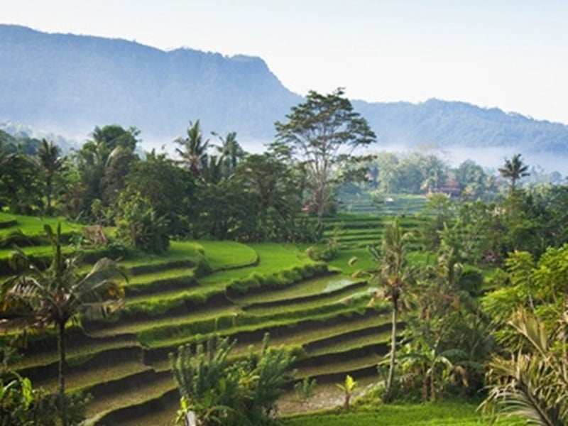 Bali Family Cultural Adventure