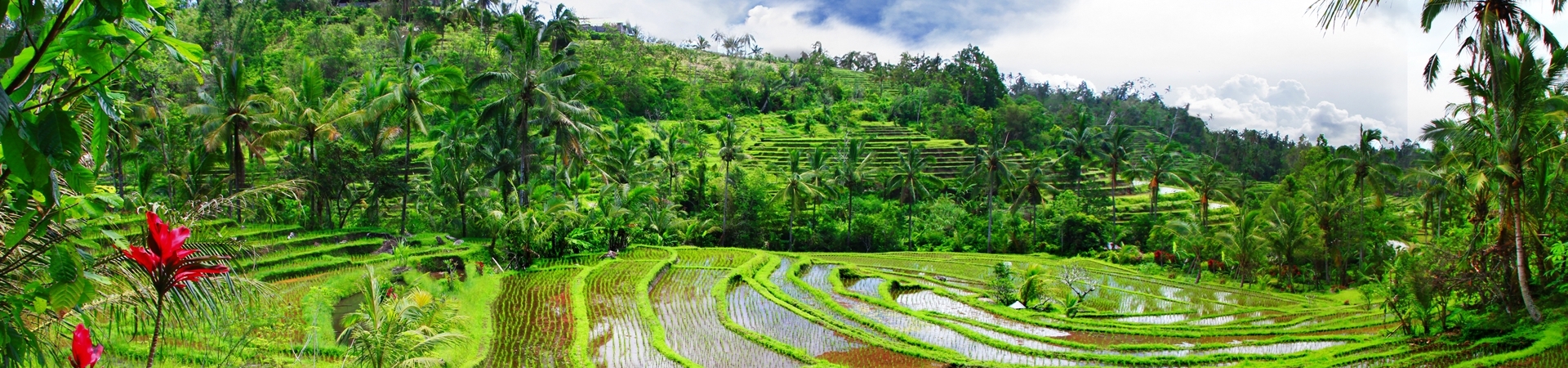 Image of Indonesia Tour - Bali Eco Harmony