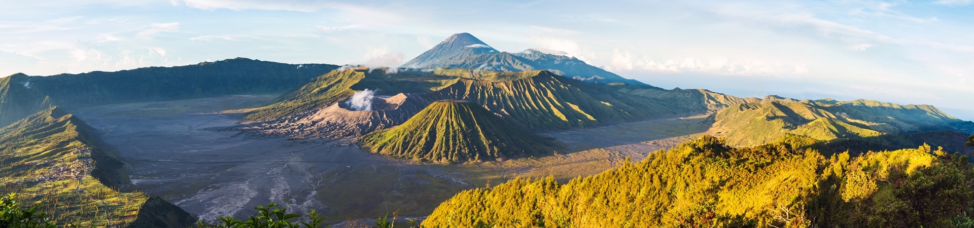 Image of East Java Insight
