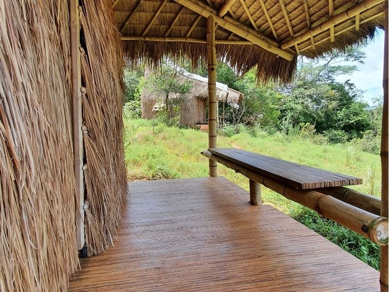 Rainforest Primate Adventure