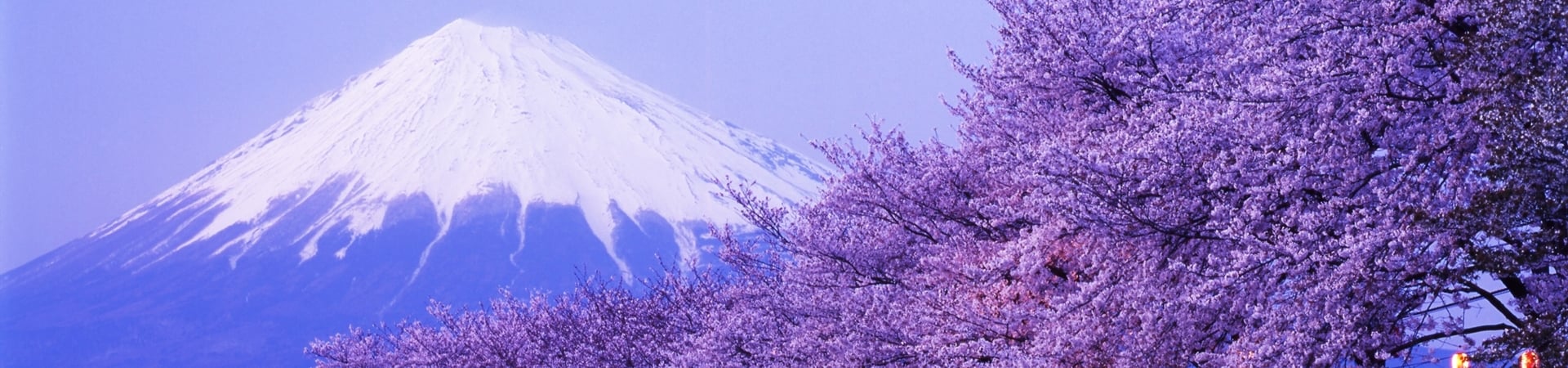 Image of Essential Japan