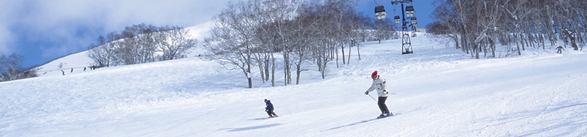 Powder Snow in Niseko