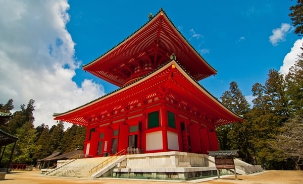 Wellness Journey in Japan