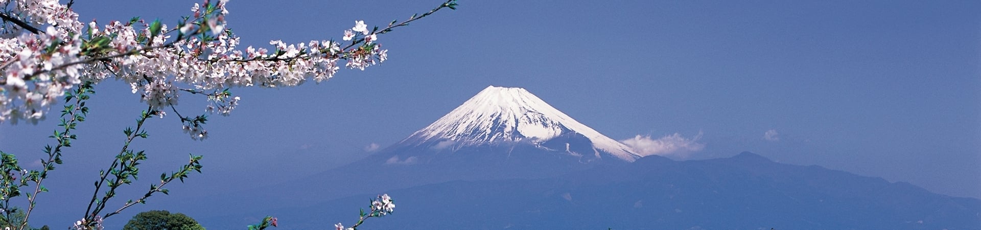 Image of In The Shadow Of Fuji