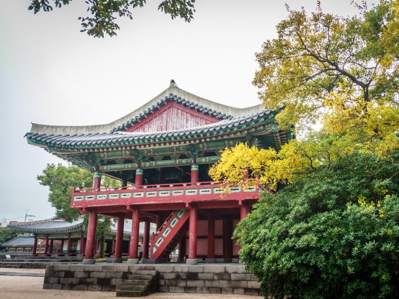 Jeju Island Explorer