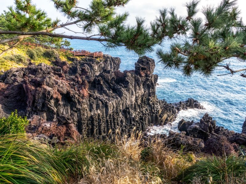 Jeju Island Explorer