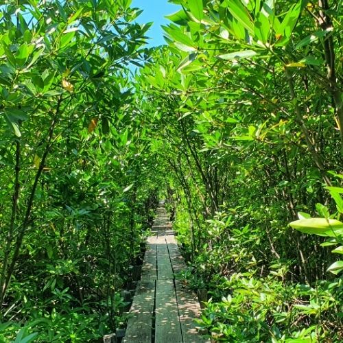 A Blend of the South