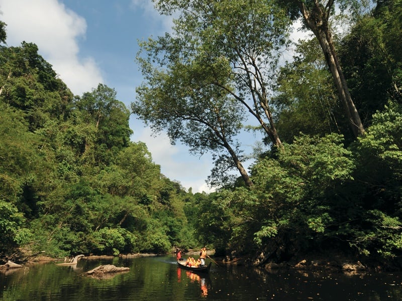 Sabah Wildlife Adventure