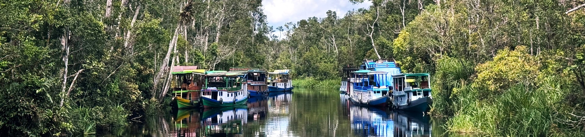 Image of Kalimantan Orangutan Explorer By Houseboat
