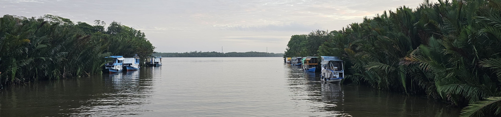 Kalimantan Orangutans With Overnight In A Dayak Longhouse