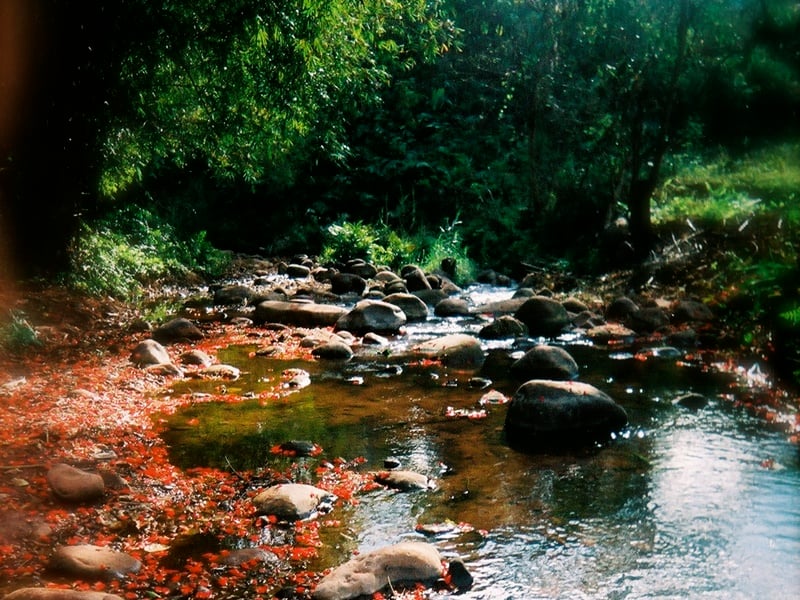 Insights to Northern Nan