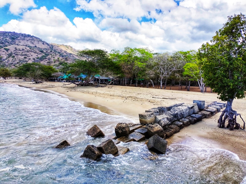 Komodo & The Rinca Trails