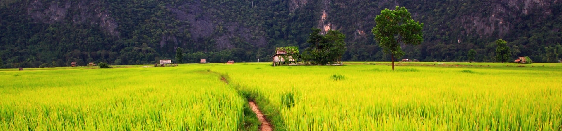 Image of Overland Laos