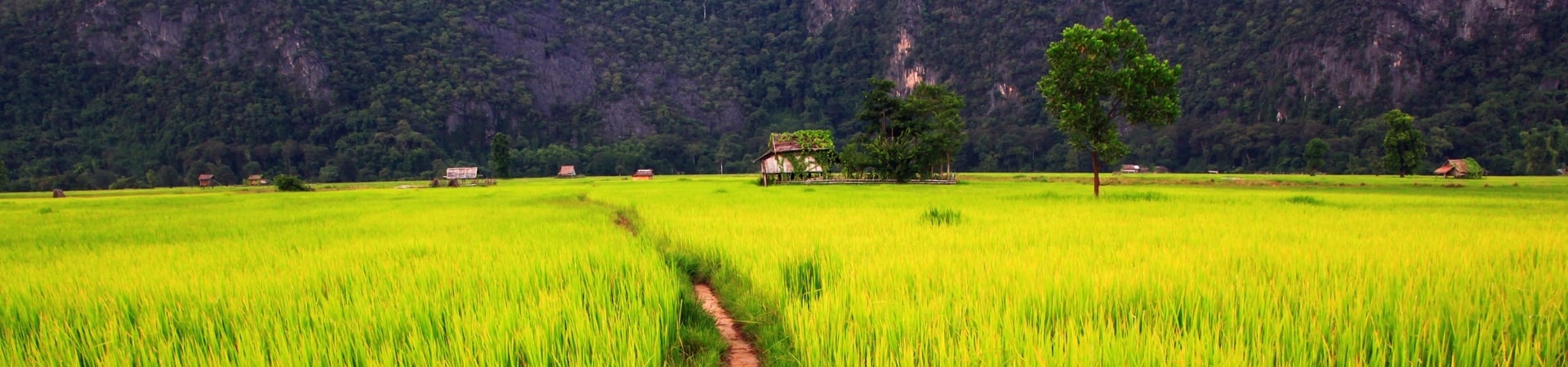 Overland Laos