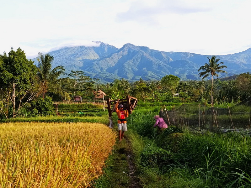 Lombok Getaway