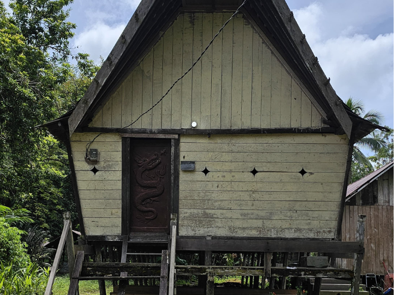 Kalimantan Orangutans With Overnight In A Dayak Longhouse