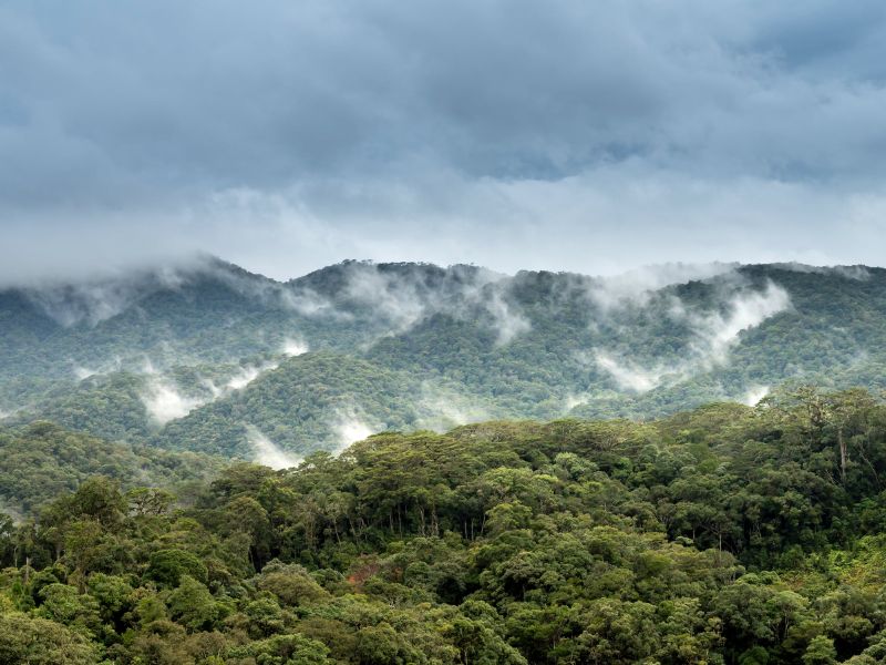 Luxury Singapore & Wild Malaysia E&O Train