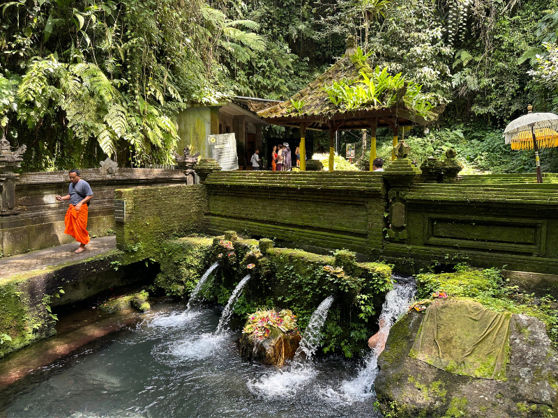 Bali Classic from Different Perspective